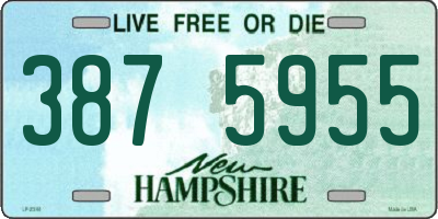 NH license plate 3875955