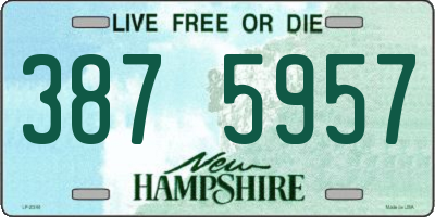 NH license plate 3875957