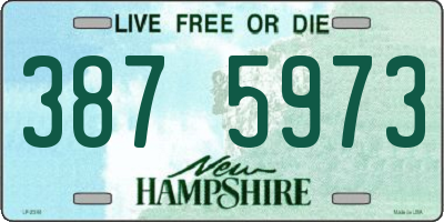 NH license plate 3875973