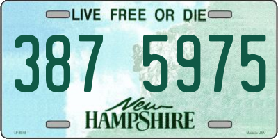 NH license plate 3875975