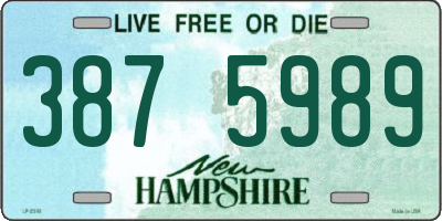 NH license plate 3875989