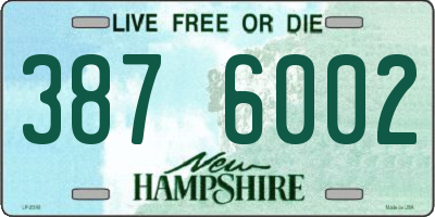 NH license plate 3876002