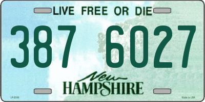 NH license plate 3876027
