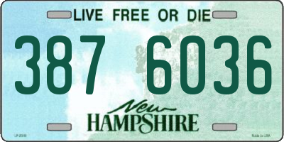 NH license plate 3876036