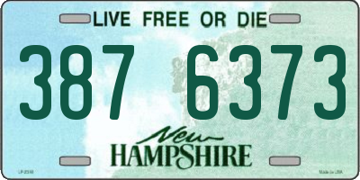NH license plate 3876373