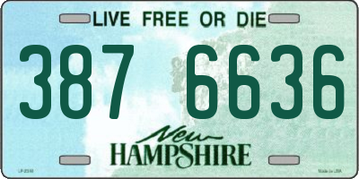 NH license plate 3876636