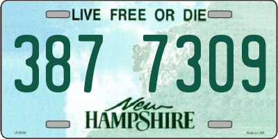 NH license plate 3877309