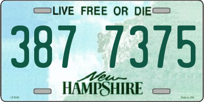 NH license plate 3877375