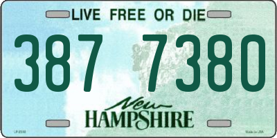 NH license plate 3877380