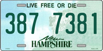 NH license plate 3877381