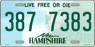 NH license plate 3877383