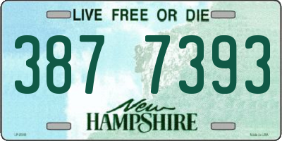 NH license plate 3877393