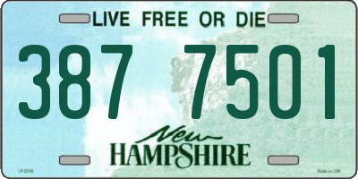 NH license plate 3877501
