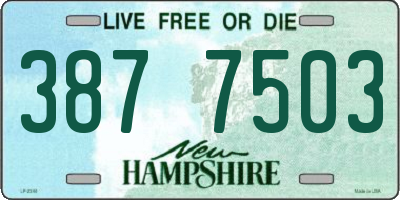 NH license plate 3877503