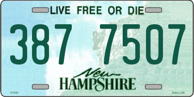 NH license plate 3877507