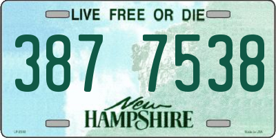 NH license plate 3877538
