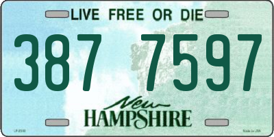 NH license plate 3877597