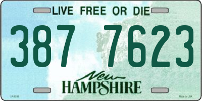 NH license plate 3877623