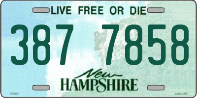 NH license plate 3877858