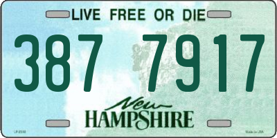 NH license plate 3877917