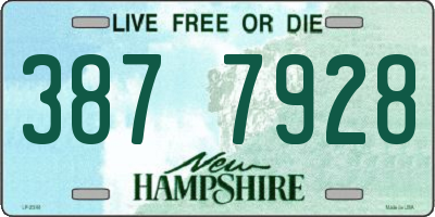 NH license plate 3877928
