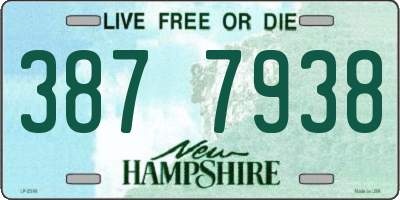 NH license plate 3877938