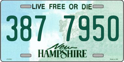NH license plate 3877950