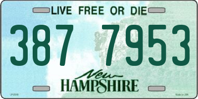 NH license plate 3877953