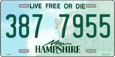 NH license plate 3877955