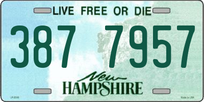 NH license plate 3877957