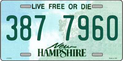 NH license plate 3877960