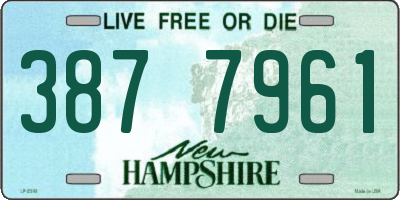 NH license plate 3877961