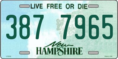 NH license plate 3877965