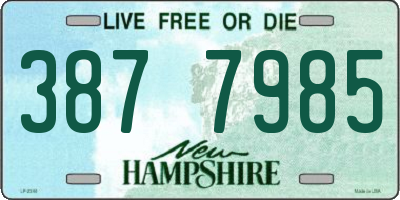 NH license plate 3877985