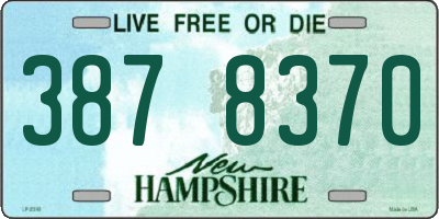 NH license plate 3878370
