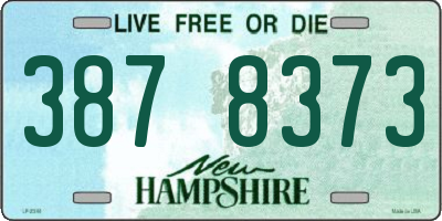 NH license plate 3878373
