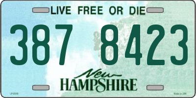 NH license plate 3878423