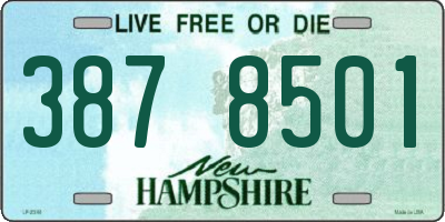 NH license plate 3878501