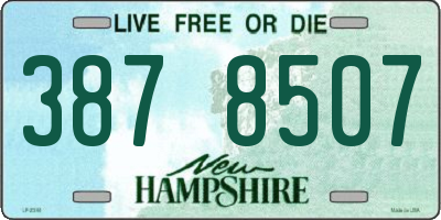 NH license plate 3878507