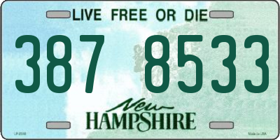 NH license plate 3878533