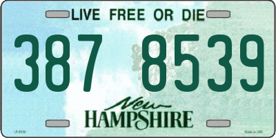 NH license plate 3878539