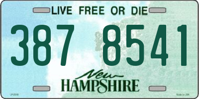 NH license plate 3878541