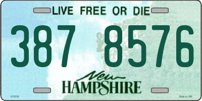 NH license plate 3878576