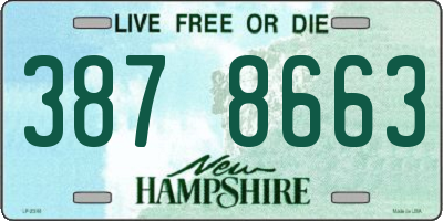 NH license plate 3878663