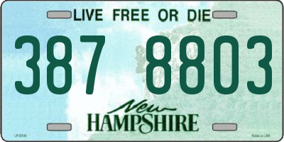 NH license plate 3878803