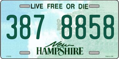 NH license plate 3878858