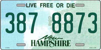 NH license plate 3878873