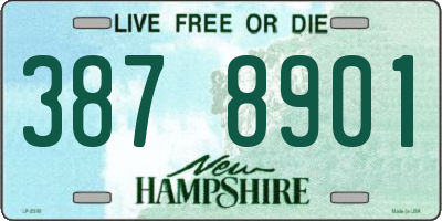 NH license plate 3878901