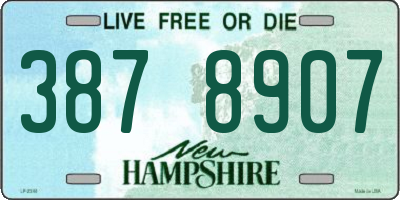 NH license plate 3878907