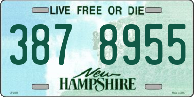 NH license plate 3878955